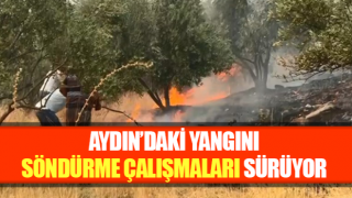 Aydın’daki yangını söndürme çalışmaları sürüyor