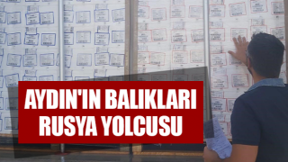 Aydın'ın balıkları Rusya yolcusu