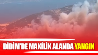 Didim'de makilik alanda yangın