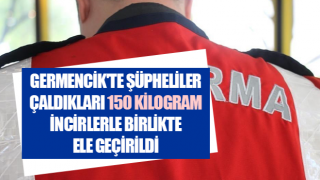 Germencik'te 150 kilogram incir çalan şahıslar yakalandı