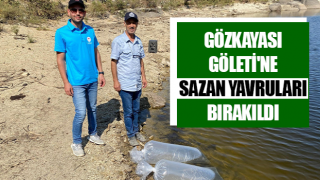 Gözkayası Göleti'ne sazan yavruları bırakıldı