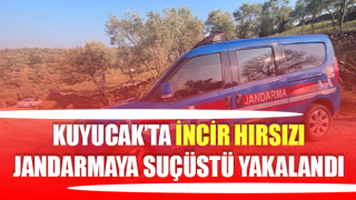 İncir hırsızı jandarmaya suçüstü yakalandı