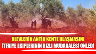 İtfaiyenin hızlı müdahalesi alevlerin büyümesini önledi