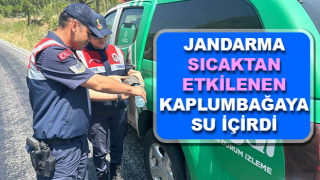 Jandarma sıcaktan etkilenen kaplumbağaya su içirdi