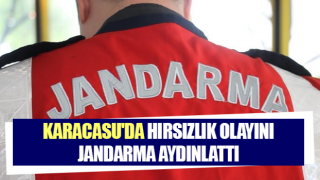 Karacasu'da hırsızlık olayını jandarma aydınlattı