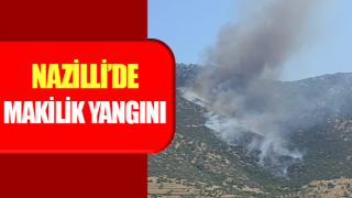 Nazilli’de makilik yangını