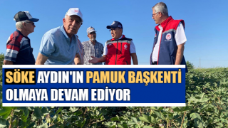 Söke, Aydın'ın pamuk başkenti olmaya devam ediyor