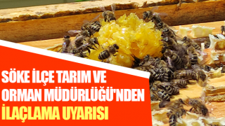 Söke İlçe Tarım ve Orman Müdürlüğü'nden ilaçlama uyarısı