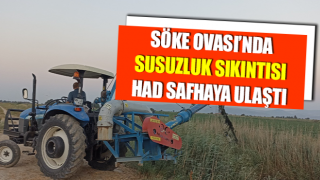 Söke Ovası’nda susuzluk sıkıntısı had safhaya ulaştı