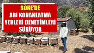 Söke'de arı konaklatma yerleri denetimleri sürüyor