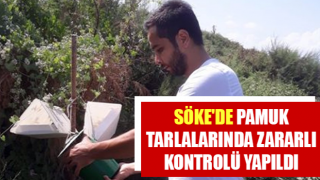 Söke'de pamuk tarlalarında zararlı kontrolü yapıldı