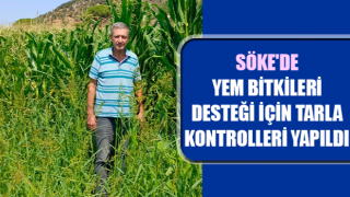 Söke'de yem bitkileri desteği için tarla kontrolleri yapıldı