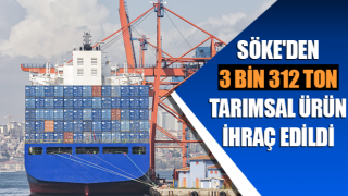 Söke'den 3 bin 312 ton ürün ihraç edildi