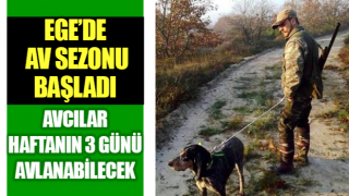 Yaban domuzu 4 gün avlanabilecek